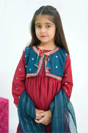 Maroon Raw Silk Embroidered (3 Pc Suit)
