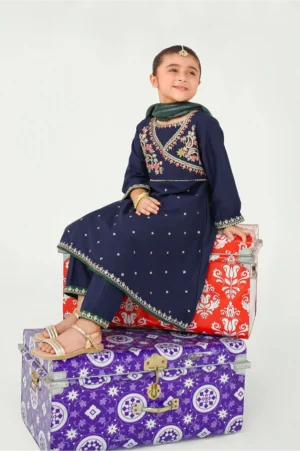 Navy Blue Raw Silk Embroidered (3 Pc Suit)