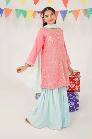 Candy Pink Cotton Silk Embroidered (3 Pc Suit)