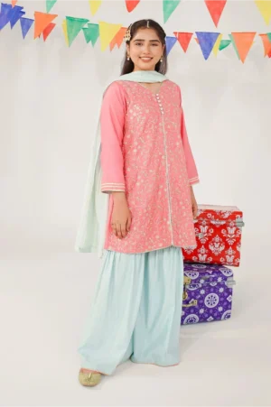 Candy Pink Cotton Silk Embroidered (3 Pc Suit)