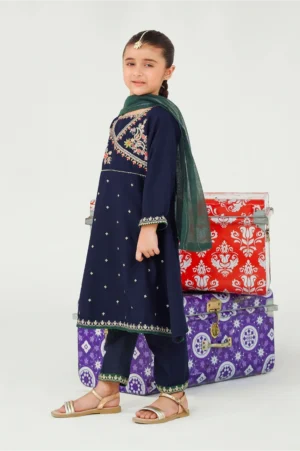 Navy Blue Raw Silk Embroidered (3 Pc Suit)