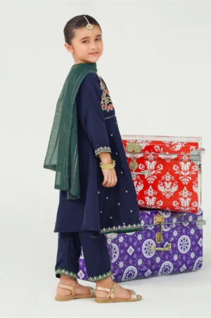 Navy Blue Raw Silk Embroidered (3 Pc Suit)