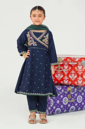 Navy Blue Raw Silk Embroidered (3 Pc Suit)