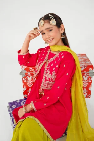 Hot Pink Raw Silk Embroidered (3 Pc Suit)