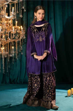 Purple Velvet Hand Adda Work (3 Pc Suit)