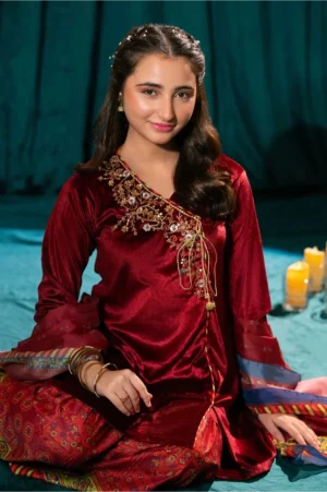 Maroon Velvet Hand Adda Work (3 Pc Suit)