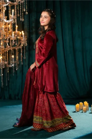 Maroon Velvet Hand Adda Work (3 Pc Suit)