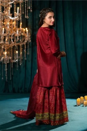 Maroon Velvet Hand Adda Work (3 Pc Suit)
