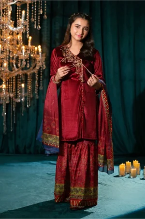 Maroon Velvet Hand Adda Work (3 Pc Suit)