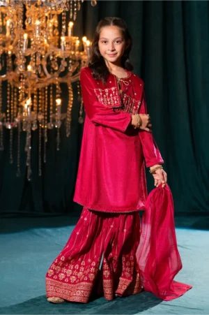 Magenta Pink Velvet Hand Adda Work (3 Pc Suit)