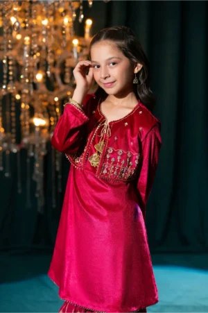 Magenta Pink Velvet Hand Adda Work (3 Pc Suit)