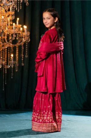 Magenta Pink Velvet Hand Adda Work (3 Pc Suit)