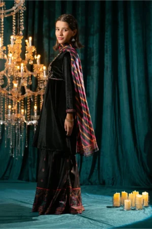 Black Velvet Hand Adda Work (3 Pc Suit)