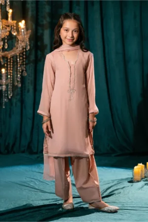 Tea Pink Chiffon Hand Adda Work (3 Pc Suit)