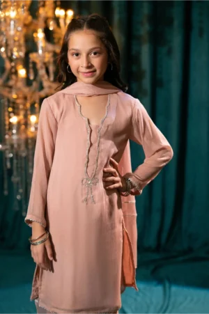 Tea Pink Chiffon Hand Adda Work (3 Pc Suit)