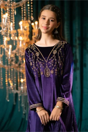 Purple Velvet Hand Adda Work (3 Pc Suit)