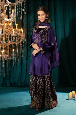 Purple Velvet Hand Adda Work (3 Pc Suit)