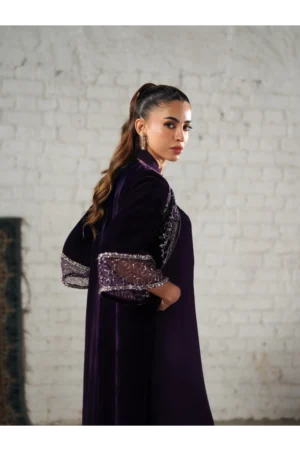 Gloria Deep Plum Embellished Velvet