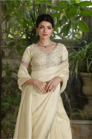 Pastel Radiance Saree