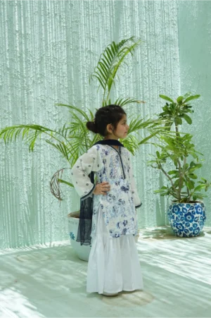 Blue-white gharara
