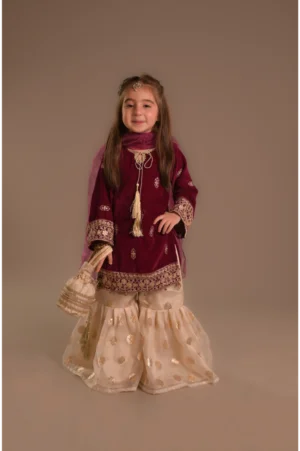 Pink velvet Gharara (VPG25)