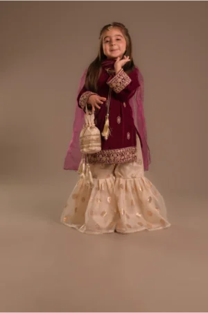 Pink velvet Gharara (VPG25)