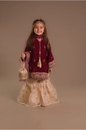 Pink velvet Gharara (VPG25)