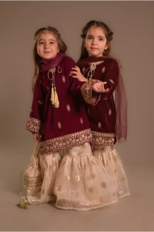 Pink velvet Gharara (VPG25)