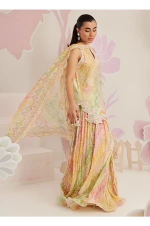 Elysia Shirt and Dupatta