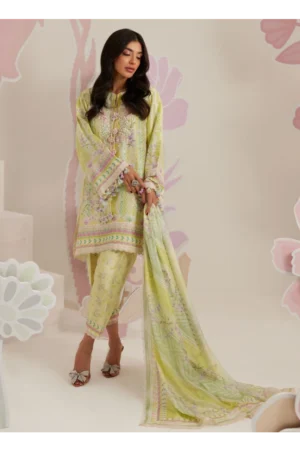 Riva Shirt And Dupatta