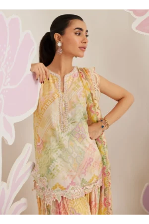 Elysia Shirt and Dupatta