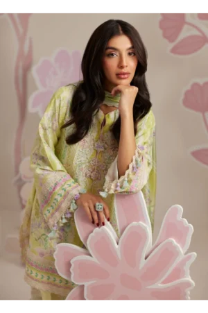Riva Shirt And Dupatta
