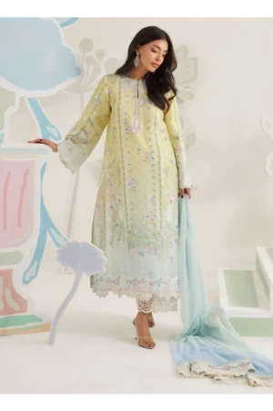 Orelia Shirt And Dupatta