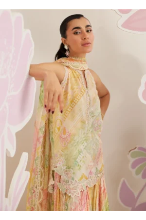 Elysia Shirt and Dupatta