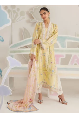Anaya Shirt And Dupatta