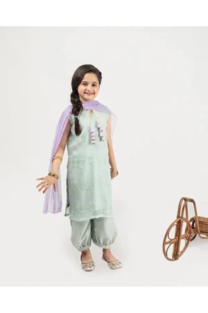 Mint Shalwar Kameez (Hdceid24)