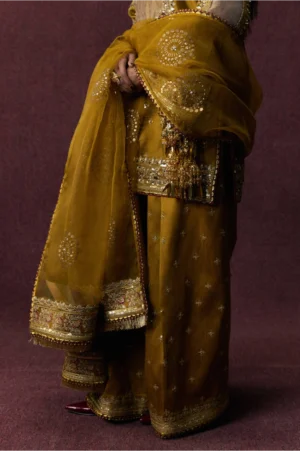 Bahar Begum