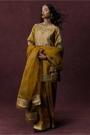 Bahar Begum