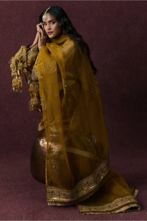Bahar Begum