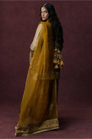 Bahar Begum
