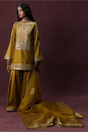Bahar Begum
