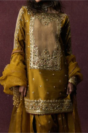 Bahar Begum