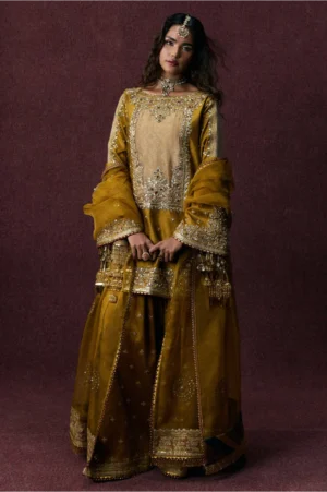 Bahar Begum