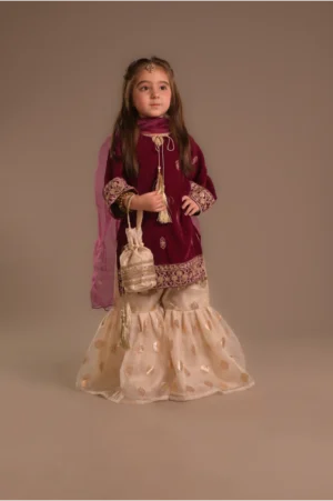 Pink velvet Gharara (VPG25)