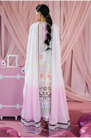 Viviana Shirt and Dupatta