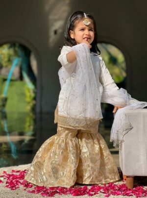 White Organza Gharara Set