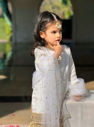 White Organza Gharara Set