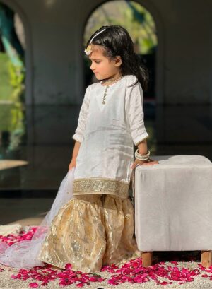 White Organza Gharara Set