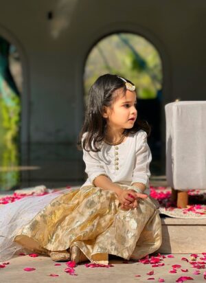 White Organza Gharara Set