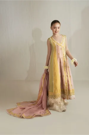 Sunshine Chunari Anarkali with Crushed Azaar